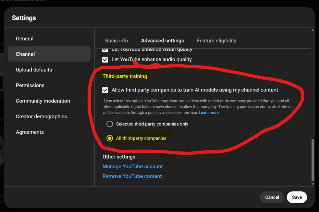 Screenshot of youtube settings feature to allow or not allow AI models to train on your youtube content - july 7, 2026
